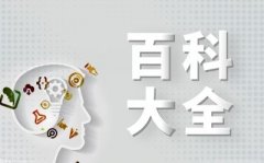 持间接像买卖、ETF一样进行买卖